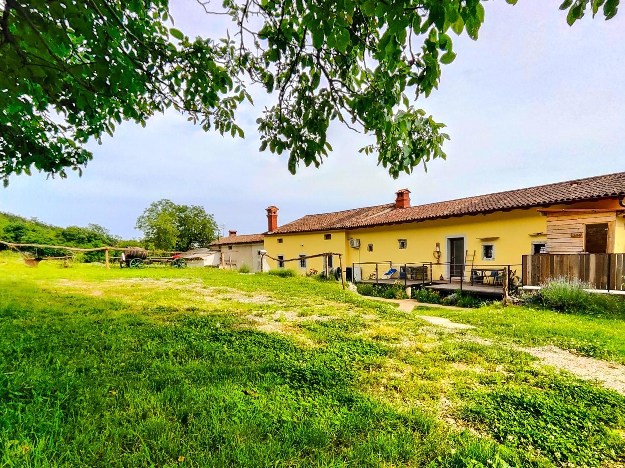 Homestead Zavadlal - Domacija Zavadlal Komen Exterior foto